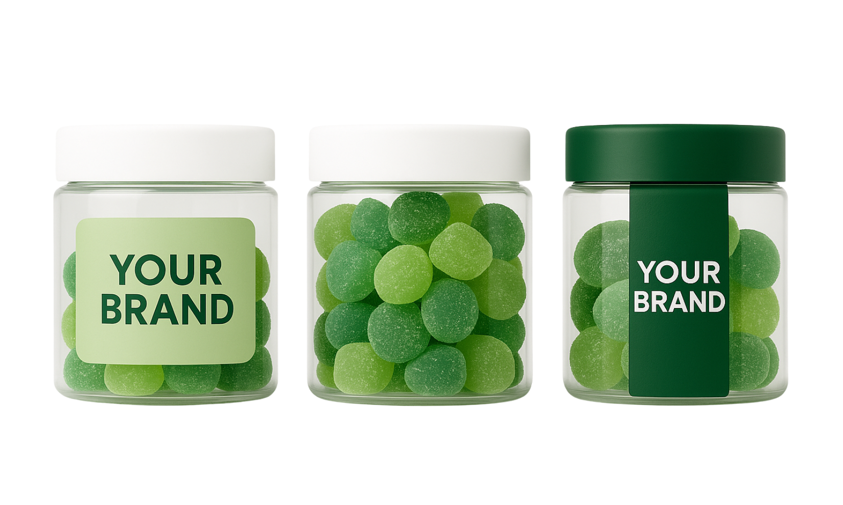 The Bio Lid The Bio Lid